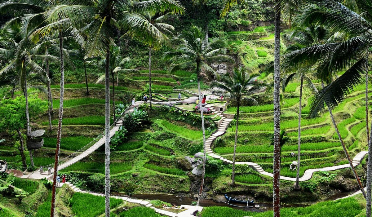 Bikin Takjub! Ubud, Surga Tersembunyi di Indonesia yang Bikin Wisatawan Betah Berlama-lama